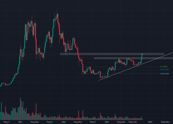 Bí kíp duy trì ổn định tâm lý giao dịch crypto của trader
