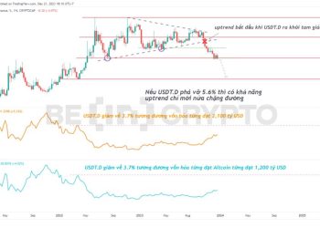 Tether Dominance (USDT.D) đang dự báo gì về kịch bản vốn hóa Altcoin đầu năm 2024?