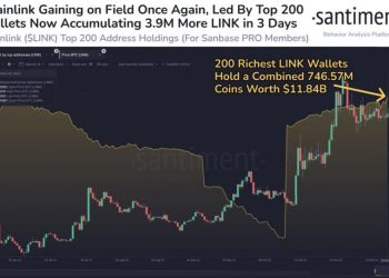 Phân tích on-chain LINK 04/12: Động thái tích lũy đáng kể từ nhóm cá voi