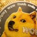 Vụ phóng vệ tinh DOGE-1 do Dogecoin tài trợ có thể nâng giá trị của nó