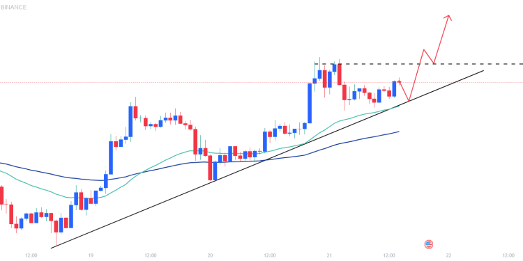 BTCSUDT : Cố gắng giữ chuỗi phục hồi trên mức 43.000 usd