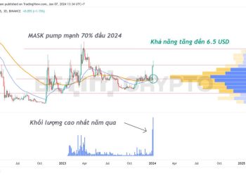 3 Altcoin Low Cap có khối lượng giao dịch tăng mạnh bất thường đầu năm 2024