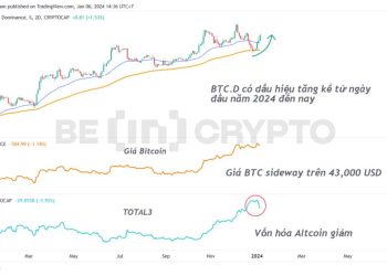 Bitcoin Dominance (BTC.D) có dấu hiệu tăng trở lại đầu 2024