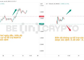AltLayer đạt khối lượng kém xa Manta Network ngày đầu niêm yết