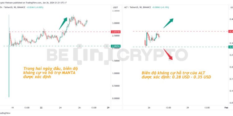 AltLayer đạt khối lượng kém xa Manta Network ngày đầu niêm yết
