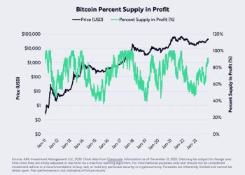 Tỷ lệ nguồn cung Bitcoin có lời đạt gần 90% đầu 2024. Điều này có ý nghĩa gì?