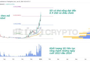 Giá Sei (SEI) liên tục lập ATH những ngày đầu 2024 với cơn sốt meme coin SEIYAN