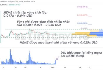 Memecoin (MEME) có thể là cơ hội tăng vốn cho nhà đầu tư nhỏ lẻ trong năm 2024