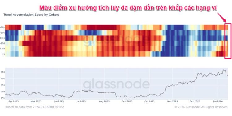 Phân tích on-chain Bitcoin 17/1: Dấu hiệu BTC bị bán trên khắp các hạng ví