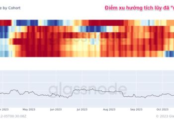 Những dấu hiệu cho thấy cá voi Bitcoin đang phân phối trong tháng 12