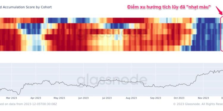 Những dấu hiệu cho thấy cá voi Bitcoin đang phân phối trong tháng 12
