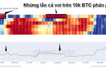 Cá voi trên 10,000 BTC đang tranh thủ quá trình sideway của Bitcoin để phân phối