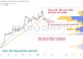 Phân tích kỹ thật Bitcoin 25/1: Khả năng đóng nến tháng đỏ đầu tiên sau 4 tháng xanh liên tiếp