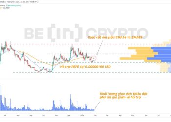Phân tích và dự đoán memecoin 2/2024: Cơ hội giao dịch nào cho DOGE, BONK, PEPE, SHIB?