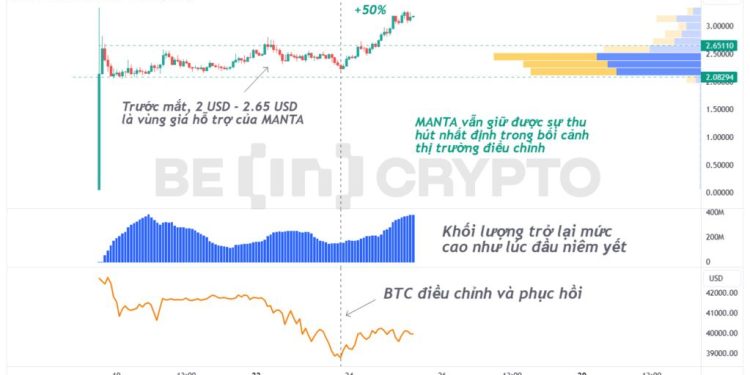 Manta Network (MANTA) tăng gần 50% trong bối cảnh thị trường sụt giảm