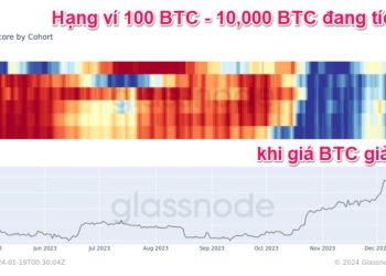 Phân tích on-chain Bitcoin 22/1: Cá voi BTC có dấu hiệu tích lũy trở lại