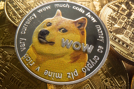 dogecoin_800x533_l_1637446667