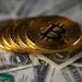 Các thợ đào Bitcoin chuẩn bị cho phần thưởng giảm một nửa vào năm 2024