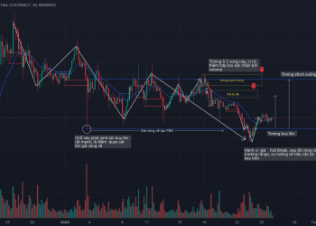 Review market 26/1 Solana