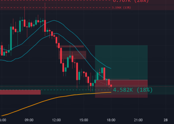 BCH Short