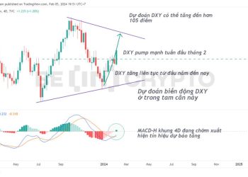 DXY lập mức cao mới năm 2024, Bitcoin thêm lý do để khó tăng mạnh