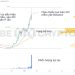 Giá Ronin (RON) dump mạnh sau khi được niêm yết Binance, liệu giá sẽ phục hồi?