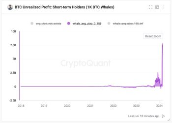 Lợi nhuận chưa thực hiện của những ví cá voi mới. Nguồn: Cryptoquant.