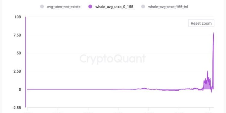 Lợi nhuận chưa thực hiện của những ví cá voi mới. Nguồn: Cryptoquant.