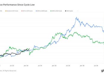 Giá BTC giảm, đừng lo! 3 dấu hiệu này sẽ cho biết khi nào Bitcoin sắp đạt đỉnh