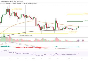 Hoạt động mạng Dogecoin ngày càng tăng: Liệu giá DOGE sẽ tăng hay giảm?