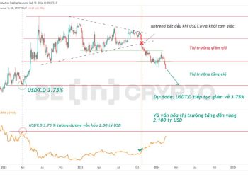 Dự đoán thị trường Crypto Q1/2024 với Bitcoin Dominance và Tether Dominance