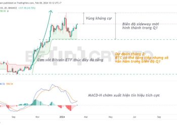 Phân tích giá Bitcoin 8/2: Phục hồi vượt 44,500 USD, liệu giá có thể tăng đến đâu?