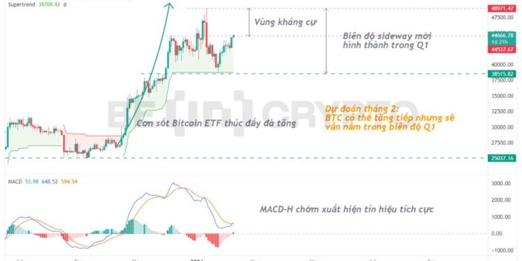 Phân tích giá Bitcoin 8/2: Phục hồi vượt 44,500 USD, liệu giá có thể tăng đến đâu?