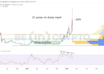 Siacoin (SC) đột ngột dump mạnh 60% trong 2 ngày, bài học rút ra là gì?