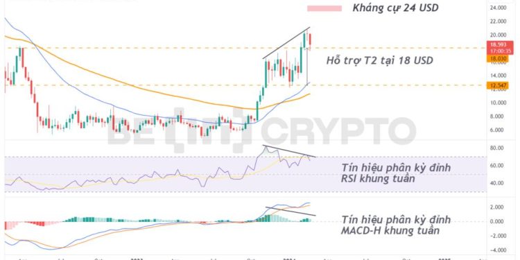 Chainlink (LINK) giảm về hỗ trợ tháng 2, phát tín hiệu điều chỉnh trong tháng 3