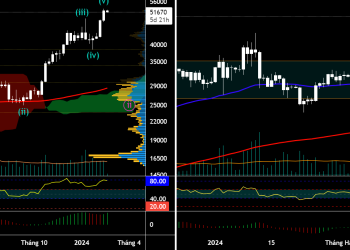 BTC/USD Update PTKT 20.02.2024