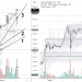 PHÂN TÍCH BITCOIN HÔM NAY (13/03) – ÁP LỰC VẪN ỔN