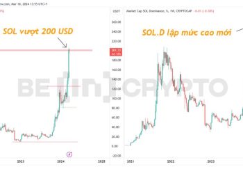 Giá Solana (SOL) và tỷ trọng của SOL (Sol.D).