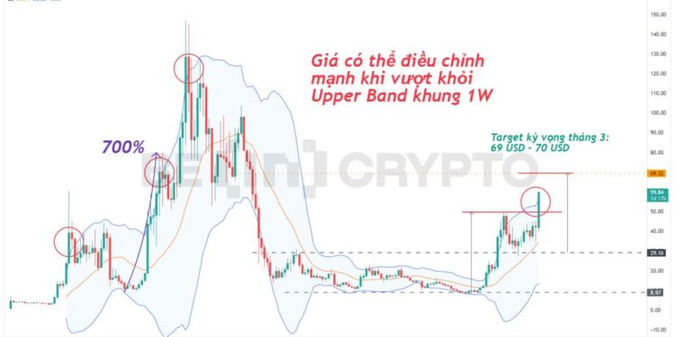 Phân tích kỹ thuật các Altcoin Layer 1 T3/2024: AVAX, NEAR, ADA, DOT, SOL