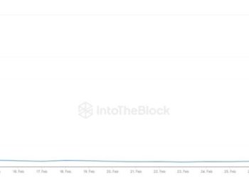 Lượng địa chỉ mới mỗi ngày của SHIB. Nguồn: IntoTheBlock.