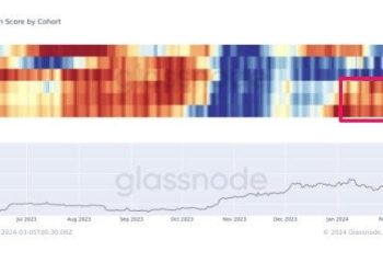 Điểm xu hướng tích lũy theo các hạng vị. Nguồn: glassnode.