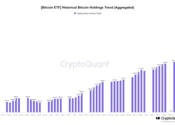 Số lượng BTC mà các Bitcoin ETF đang nắm giữ theo ngày. Nguồn: CryptoQuant.