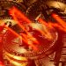 Bitcoin lao dốc, giao dịch ở mức thấp trong tuần