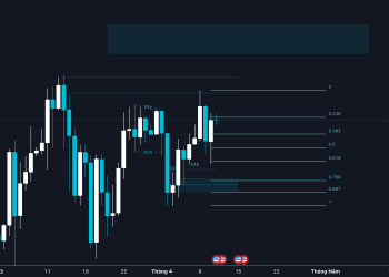 BTC 11/4/2024